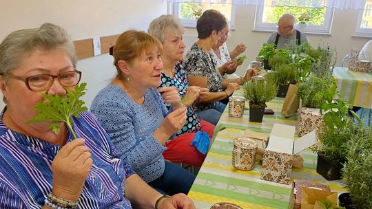 Kędzierzyńscy seniorzy blisko natury i ekologii. ZDJĘCIA