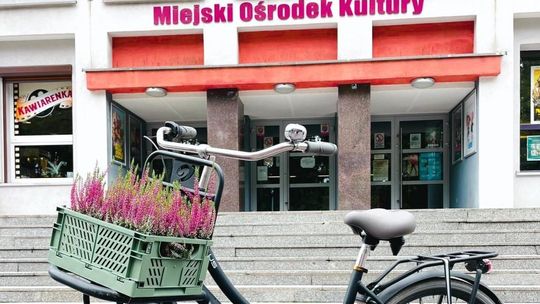 Kędzierzyńsko-kozielski MOK poszukuje pracownika na pełny etat
