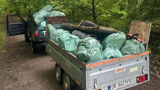 Kolejne leśne ostępy kędzierzyńskich lasów uprzątnięte. Aż 194 worki śmieci