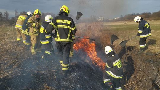 Kolejne podpalenia suchej trawy w gminie Polska Cerekiew