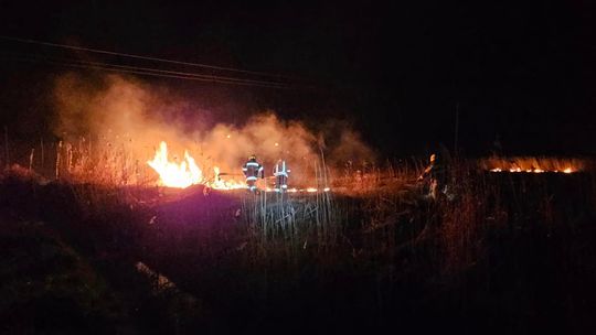 Kolejne pożary traw w miejscowości Dzielawy