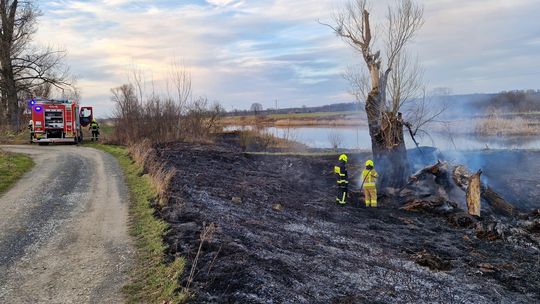 Kolejny pożar nieużytków. Tym razem w Dziergowicach