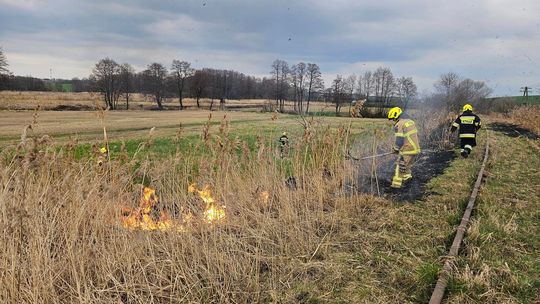 Kolejny pożar trawy w gminie Polska Cerekiew