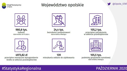 Komunikat o sytuacji społeczno-gospodarczej województwa opolskiego w październiku 2020 