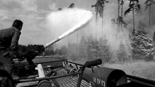 Konkurs fotograficzny z okazji 30. rocznicy wielkiego pożaru lasu