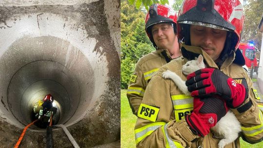 Kot wpadł do studni. Strażacy ruszyli na pomoc. ZDJĘCIA