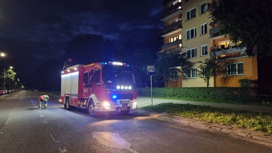 Kot zatrzasnął kobietę na balkonie. Interweniowali strażacy