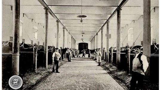 Kozielska stadnina koni obchodzi swoje 150-lecie! Historia uchwycona na kliszy fotograficznej. ZDJĘCIA