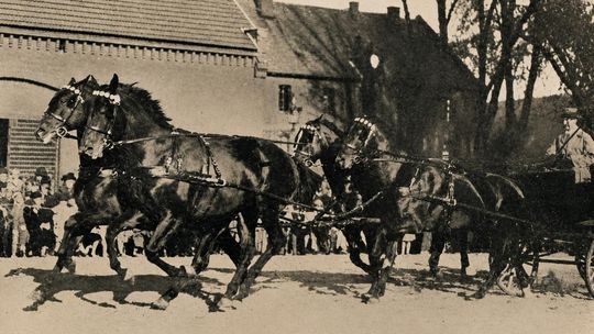 Koźle kolebką konia śląskiego