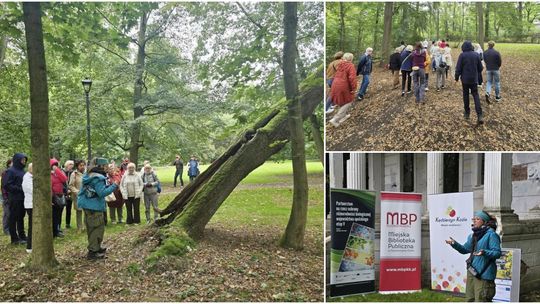 Książęca historia zapisana w korzeniach drzew. ZDJĘCIA