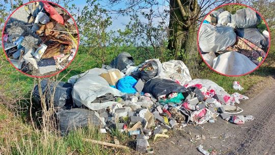 Ktoś „ozdobił” okolicę stosem odpadów. Sprawa trafiła na policję. ZDJĘCIA Ktoś „ozdobił” okolicę stosem odpadów. Sprawa trafiła na policję. ZDJĘCIA