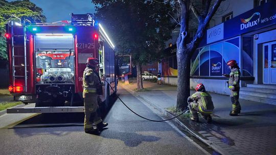 Ktoś podpalił drzewo. Interweniowali strażacy i policjanci