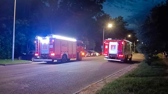 Ktoś pozostawił w lesie ognisko bez nadzoru. Interweniowały służby