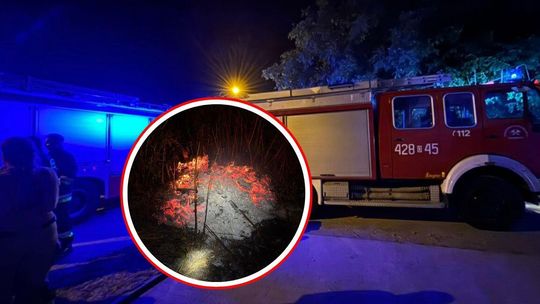 Ktoś rozpalił ognisko za marketem. Interweniowały trzy zastępy straży pożarnej