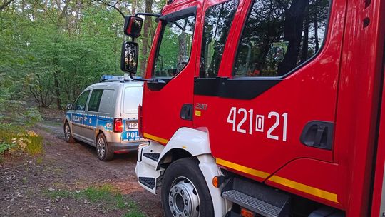 Ktoś zostawił w lesie ognisko bez nadzoru. Interweniowali strażacy