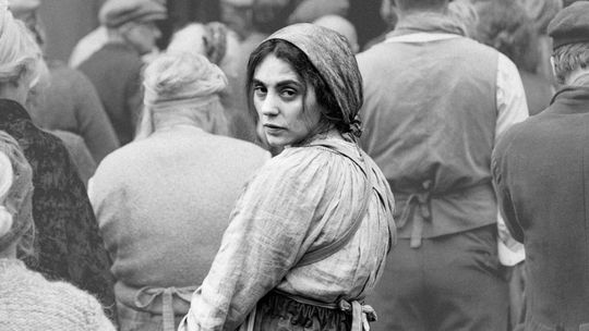 Kultura Dostępna w Heliosie. Seans filmu "Dziewczyna z igłą"