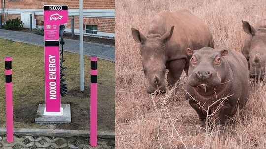 Ładując samochód w Hotelu Hugo pomagasz chronić dzikie zwierzęta