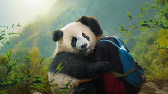 Letnie kino plenerowe na Pogorzelcu. Seans filmu "Moon. Panda i ja"