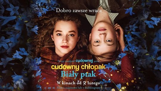 Letnie kino plenerowe. Seans filmu "Cudowny chłopak. Biały ptak"