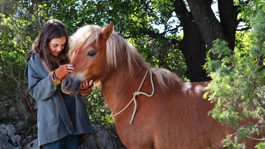 Letnie kino plenerowe w Azotach. Seans filmu "Uwolnić Poly"