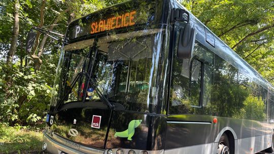 Linia „P” na stałe w rozkładzie Miejskiego Zakładu Komunikacyjnego