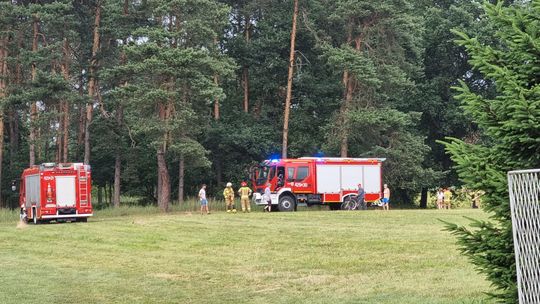 Linia wysokiego napięcia spadła na konia. Interweniowali strażacy