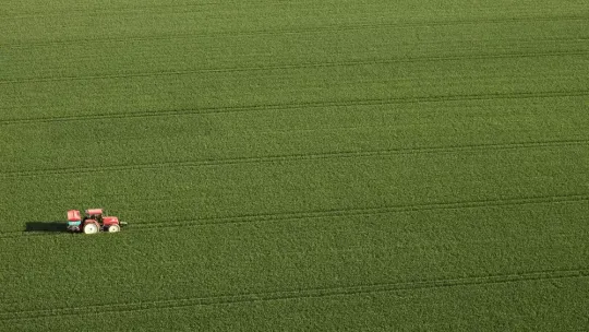 Mączka bazaltowa jako naturalna ochrona roślin przed szkodnikami i chorobami Mączka bazaltowa jako naturalna ochrona roślin przed szkodnikami i chorobami