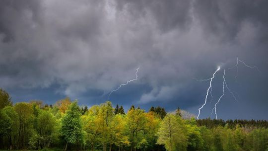 Meteorolodzy ostrzegają przed burzami i silnym wiatrem