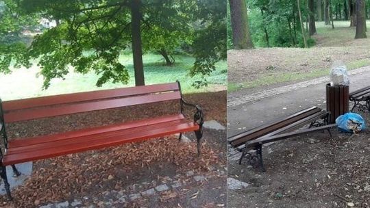 Miasto wymieniło zdewastowane ławki w parku. Nowe mają być bardziej odporne na działania wandali