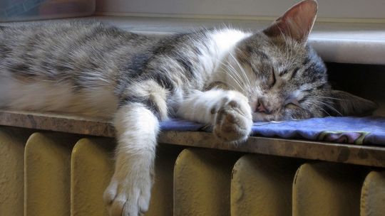 Mieszkańcy Kędzierzyna-Koźla zapłacą mniej za ogrzewanie