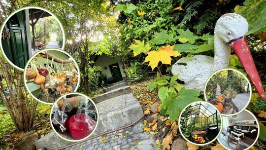 Miodowy Zakątek – sielska oaza w sercu natury. Wyjątkowe miejsce niedaleko Kędzierzyna-Koźla