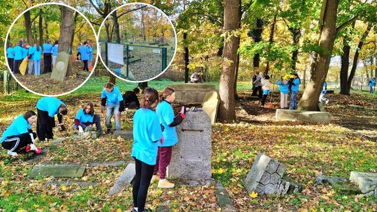 Młodzież z Reńskiej Wsi znów posprzątała cmentarz żydowski w Dębowej. ZDJĘCIA Młodzież z Reńskiej Wsi znów posprzątała cmentarz żydowski w Dębowej. ZDJĘCIA