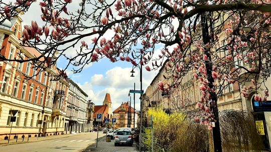 Mniej niż połowa najemców lokali komunalnych płaci za czynsz