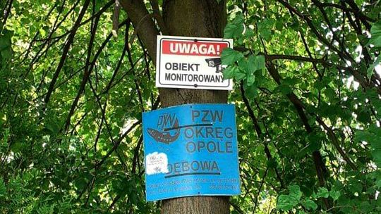 Monitoring akwenu Dębowa uruchomiony