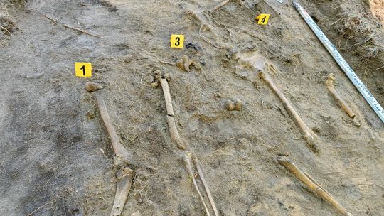 Mroczna tajemnica, którą skrywa sławięcicki las. FILM Mroczna tajemnica, którą skrywa sławięcicki las. FILM