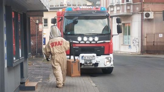 Na balkonie zagnieździły się osy. Interweniowali strażacy