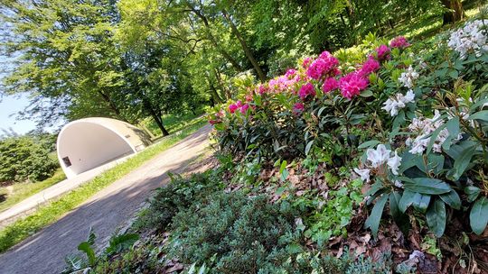 Na Plantach w Koźlu powstanie monitoring i nowe oświetlenie. Miasto zapowiada inwestycję