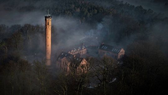 Dni Otwarte w Nadleśnictwie Kędzierzyn