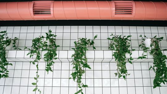 Najlepsza wentylacja do łazienki - sprawdź, czym się kierować przy jej wyborze