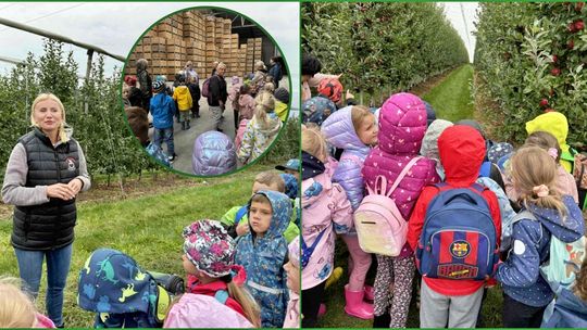 Nauka i zabawa w jednym. Przedszkolaki zwiedzały sad. ZDJĘCIA