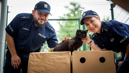 Nie kupuj. Pokochaj, adoptuj - zachęcają policjanci. ZDJĘCIA