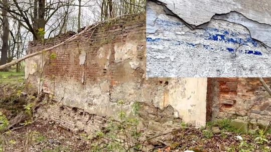 „Niebiański” kolor zachował się na starym murze okolic pałacu Flemminga