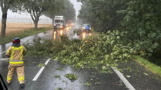 Niespokojna noc za nami. Strażacy mieli sporo pracy po przejściu frontu burzowego