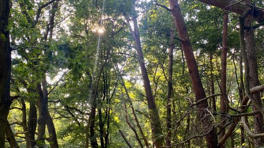 Nieszczęście wisi nad głowami. Tam może ktoś zginąć. ZDJĘCIA