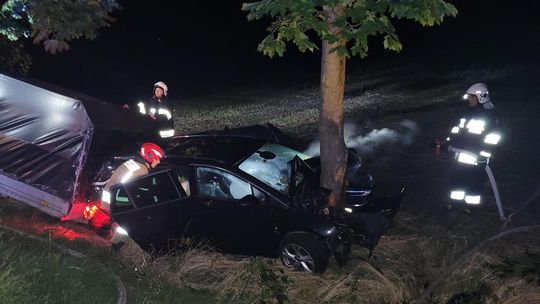 Nocny wypadek w Długomiłowicach. Samochód uderzył w drzewo