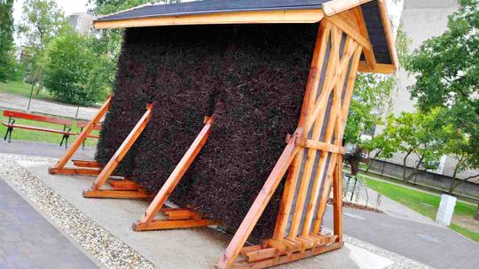 Nowa tężnia solankowa powstanie w Koźlu