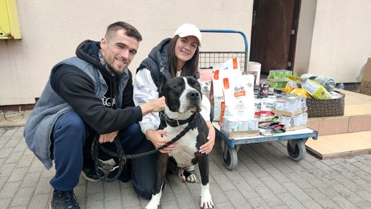 Oby „karma” do nich wróciła