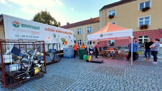 Oddaj elektroodpady – odbierz sadzonki! Jesienna edycja akcji w powiecie kędzierzyńsko-kozielskim