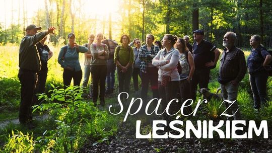 Odkryj leśne tajemnice Kędzierzyna-Koźla podczas spaceru z leśnikiem