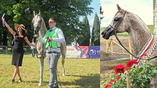 Ogier z Zakrzowa zajął drugie miejsce na II Pure Polish Classic Show w Białce